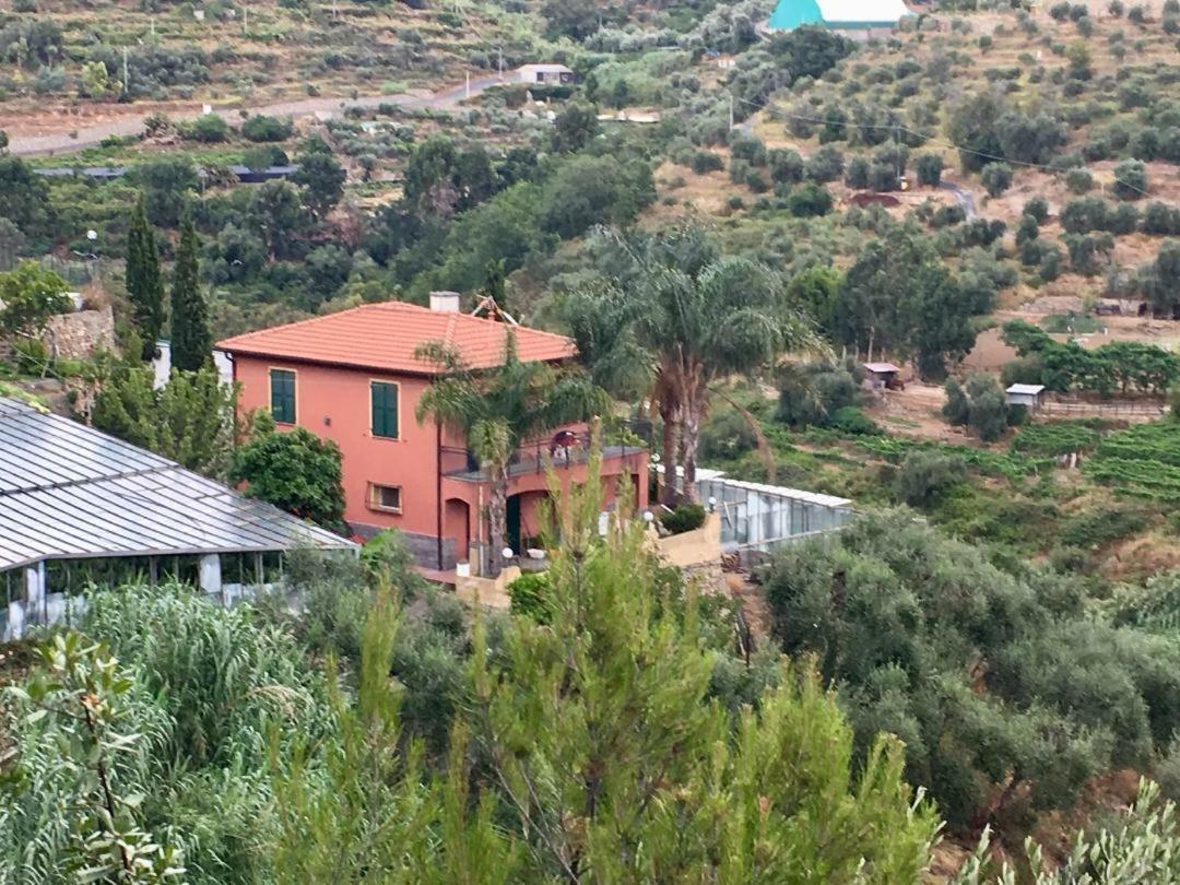 La Casa Del Podere Castellaro  Exteriör bild