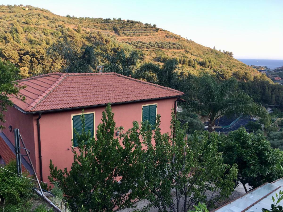 La Casa Del Podere Castellaro  Exteriör bild